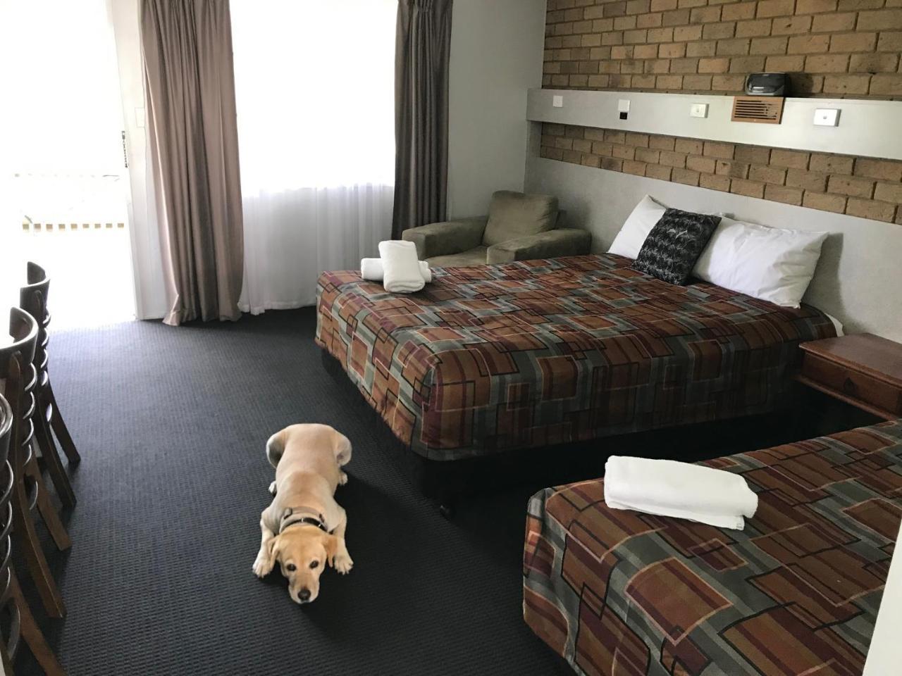 True Blue Motor Inn Rockhampton Dış mekan fotoğraf